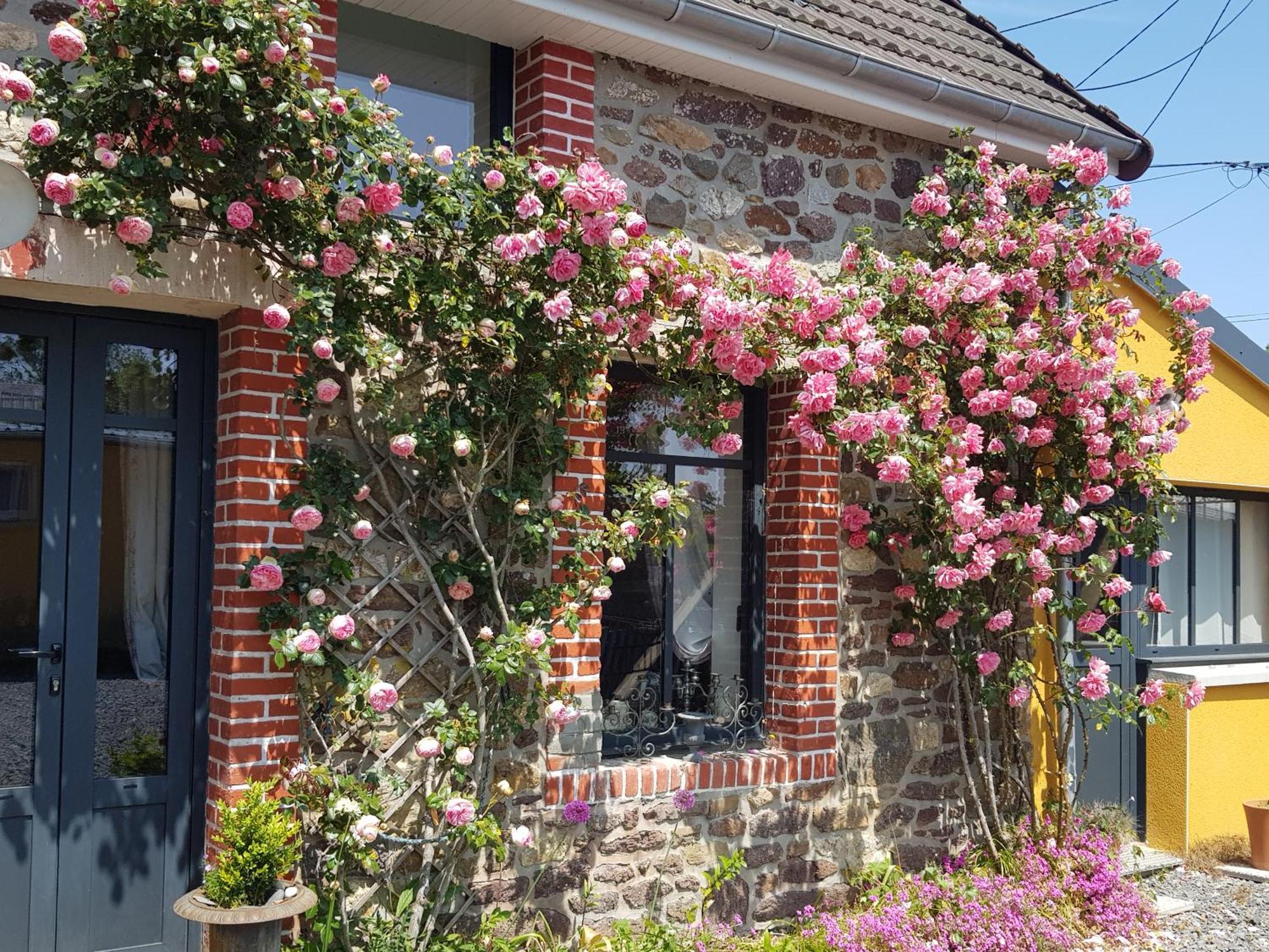 Le Jardin Bed & Breakfast Coudeville Exterior photo